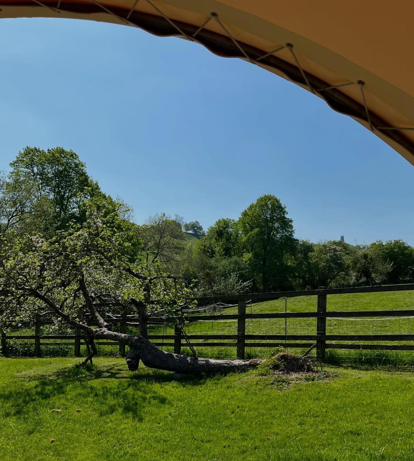 Middlewick Holiday Cottages غلاستونبري المظهر الخارجي الصورة