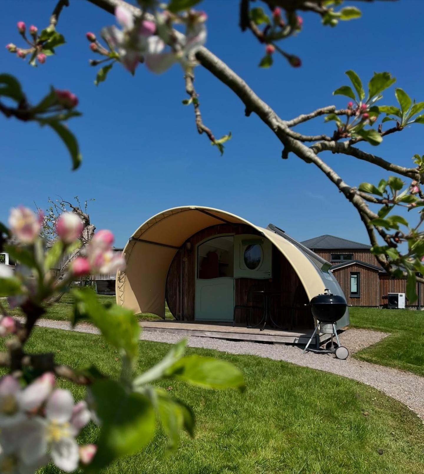 Middlewick Holiday Cottages غلاستونبري المظهر الخارجي الصورة